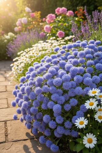 Sale889 ageratum blue horizon - blue,